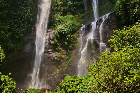 Bali : Ultimate Waterfall Tour (All Inclusive & Private)