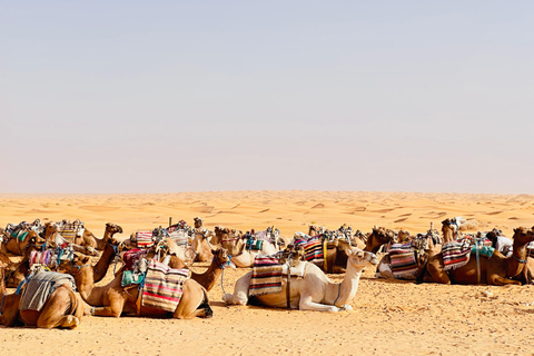 Djerba 2 Days: Ksar Hadada, Ksar Ghilane Dunes & Overnight Stay in Desert Camp Ksar Hadada, Ksar Ghilane, Dunes & Overnight at a Desert Camp, 4x4/Car