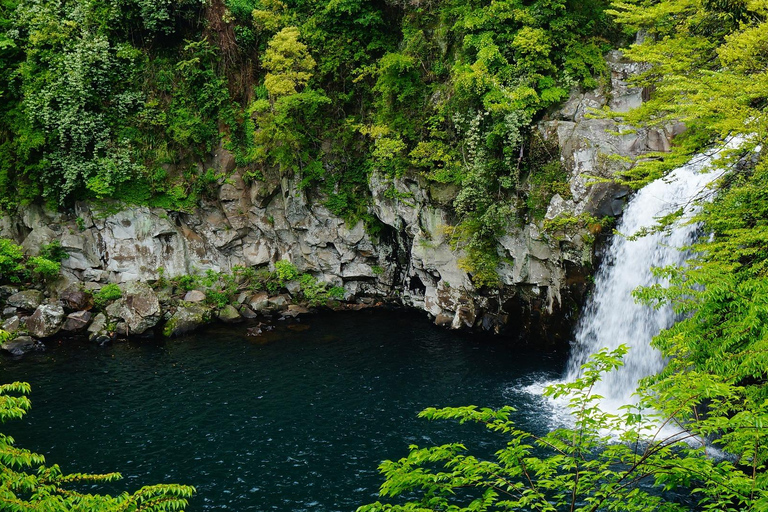 Jeju Island West Route Endagstur (valfria attraktioner)