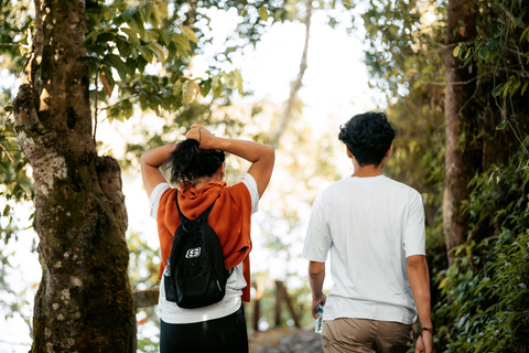 Bali: Private Shore Excursion from Celukan Bawang Port Best Asian Tour Picks – Shared Experiences ( Full Day )