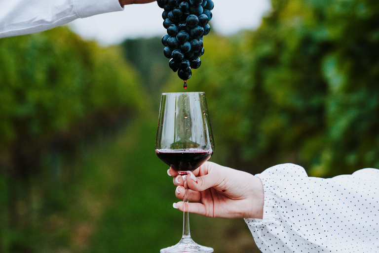 Krakow: Vineyard Tour with Wine Tasting & Dinner Extended Tasting