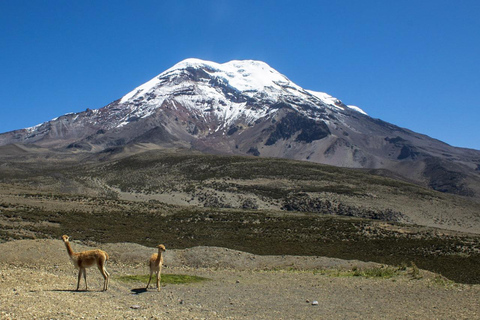 7 dni Quito - Montañita z wizytą w Andach i na wybrzeżu