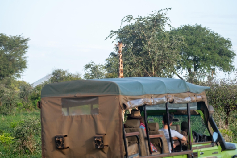 Explore Kidepo Valley National Park