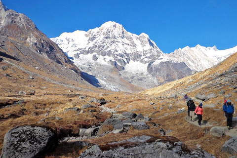 Pokhara : 7 jours de trek au camp de base de l&#039;Annapurna avec source d&#039;eau chaude