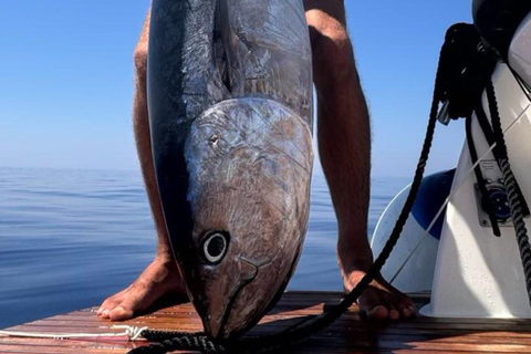 Montenegro: Big Game Fishing from Herceg-Novi