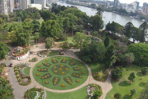 Hop on Hop off - Brisbane City - The Heart of Brisbane Brisbane City Loop + Tamborine Mountain Hop on Hop off