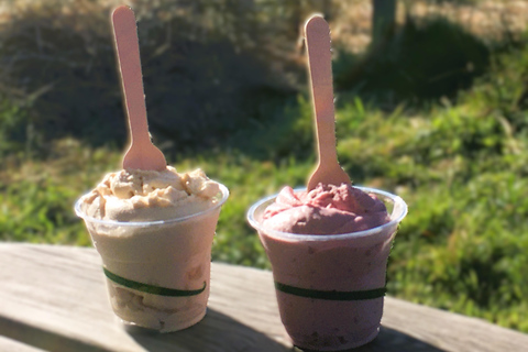 Loch Katrine: Goat Ice Cream Tasting and Farm Tour by E-Bike