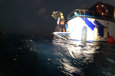 Larnaca: Zenobia Wreck Night Dive Certification With SSI