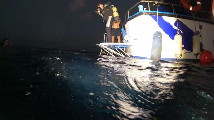 Lárnaca: Certificación de buceo nocturno en el pecio Zenobia con SSI