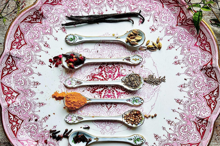 Zanzibar : excursion d'une demi-journée à la ferme aux épices et dans la forêt de Jozani