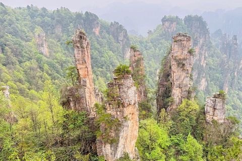 Zhangjiajie: National Forest Park 1-Day VIP Private Tour