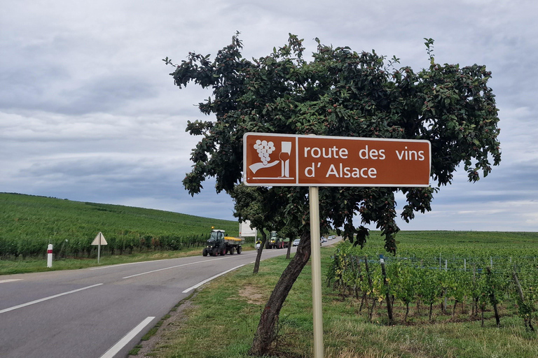 Alsace : La légendaire route des vins avec dégustation et déjeuner