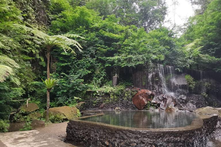 Bali : Purification at the Holy Water Temple &amp; WaterfallInclude for Pick Up Around Kuta, Seminyak, Jimbaran &amp; Sanur