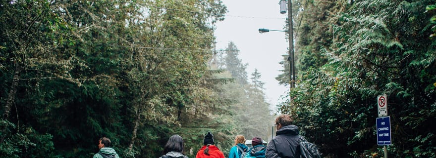 Depuis Galle ou Mirissa : Excursion d'une journée dans la forêt tropicale de Sinharaja