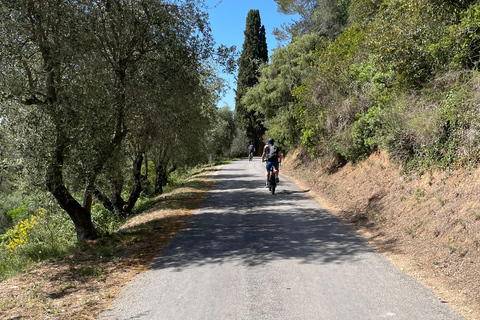 Niza: Visita en bicicleta eléctrica a los viñedos de Bellet con cata de vinos