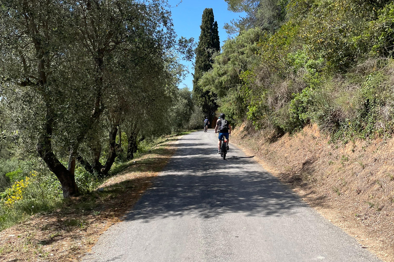 Niza: Visita en bicicleta eléctrica a los viñedos de Bellet con cata de vinos