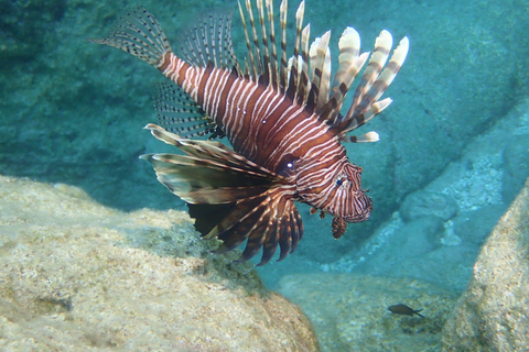 Discover Scuba Diving in Zakynthos – Beginner Experience