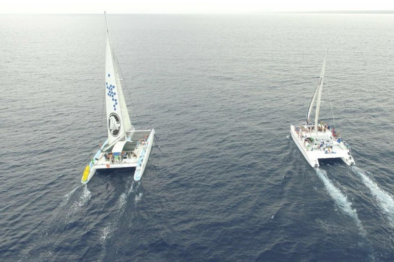 Wyspa Saona przez cały dzień z lunchem i otwartym barem z Punta Cana