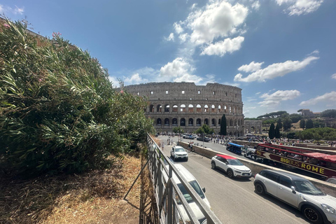 Small Group Guided Tour Colosseum Roman Forum, Palatine Hill Standard Tickets