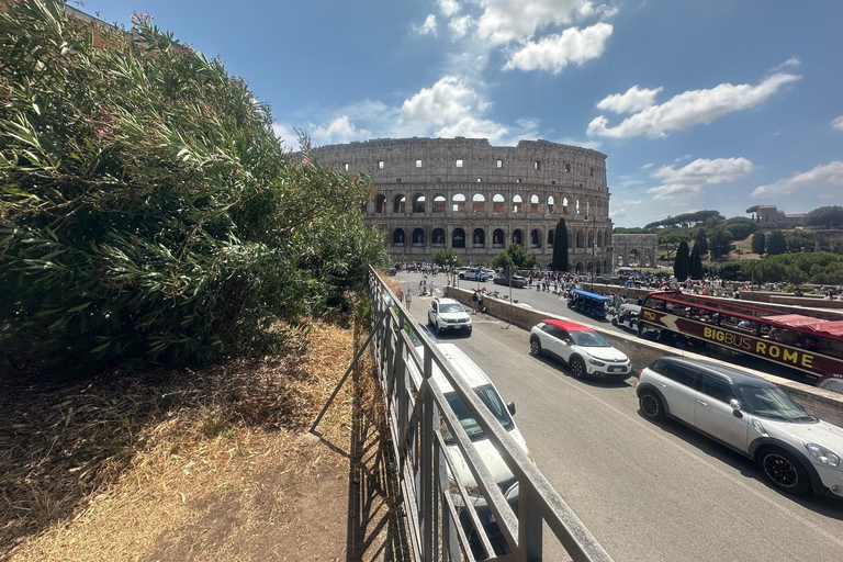 Small Group Guided Tour Colosseum Roman Forum, Palatine Hill Standard Tickets