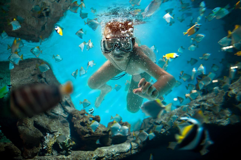 Sharm El Sheij: Crucero en barco de lujo con snorkel y almuerzoSharm El Sheij: Crucero por el Parque Natural con snorkel y almuerzo