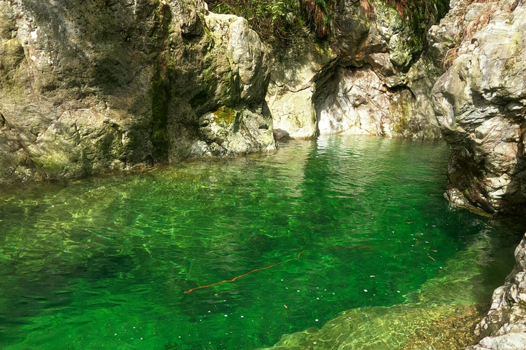 Lynn Canyon, Hängebrücke &amp; Grouse Mount Private TourVancouver: Suspension Bridges &amp; Grouse Mountain Private Tour