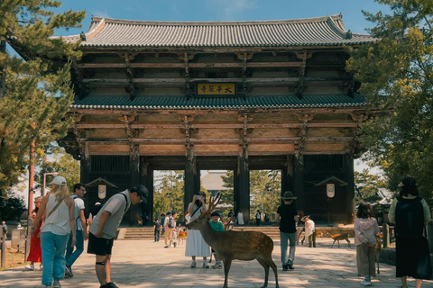 Private sightseeing tour of Nara in Spanish with pick-up from your hotel in Osaka or Kyoto 6-Hour Private Tour in Spanish