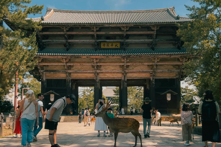 Private sightseeing tour of Nara in Spanish with pick-up from your hotel in Osaka or Kyoto 6-Hour Private Tour in Spanish