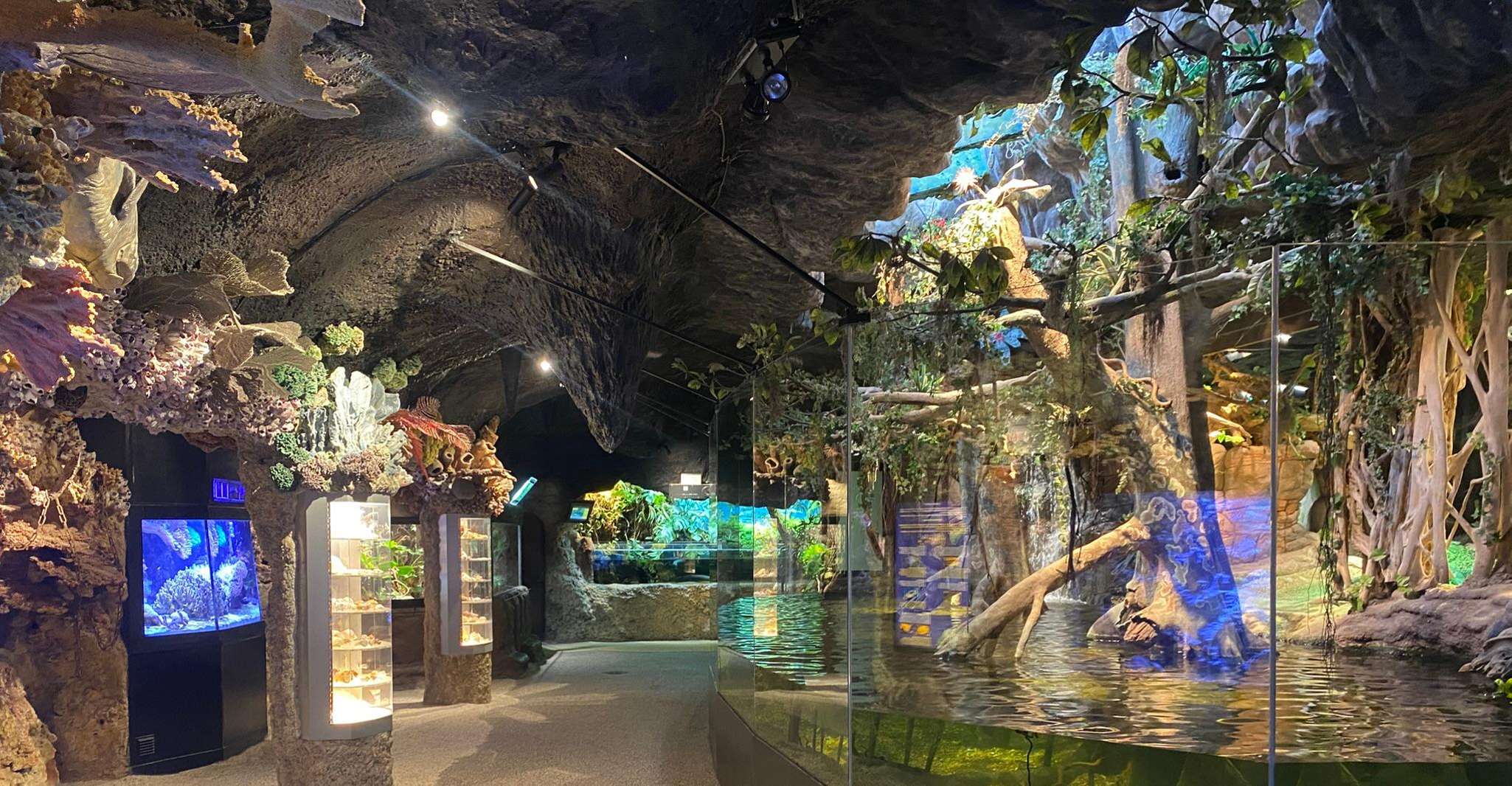 Stockholm: The Skansen Aquarium Entry Ticket