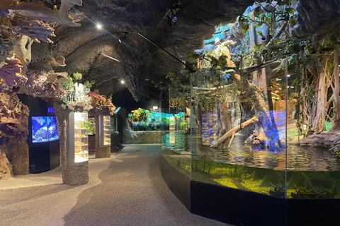 Stockholm: The Skansen Aquarium Entry Ticket