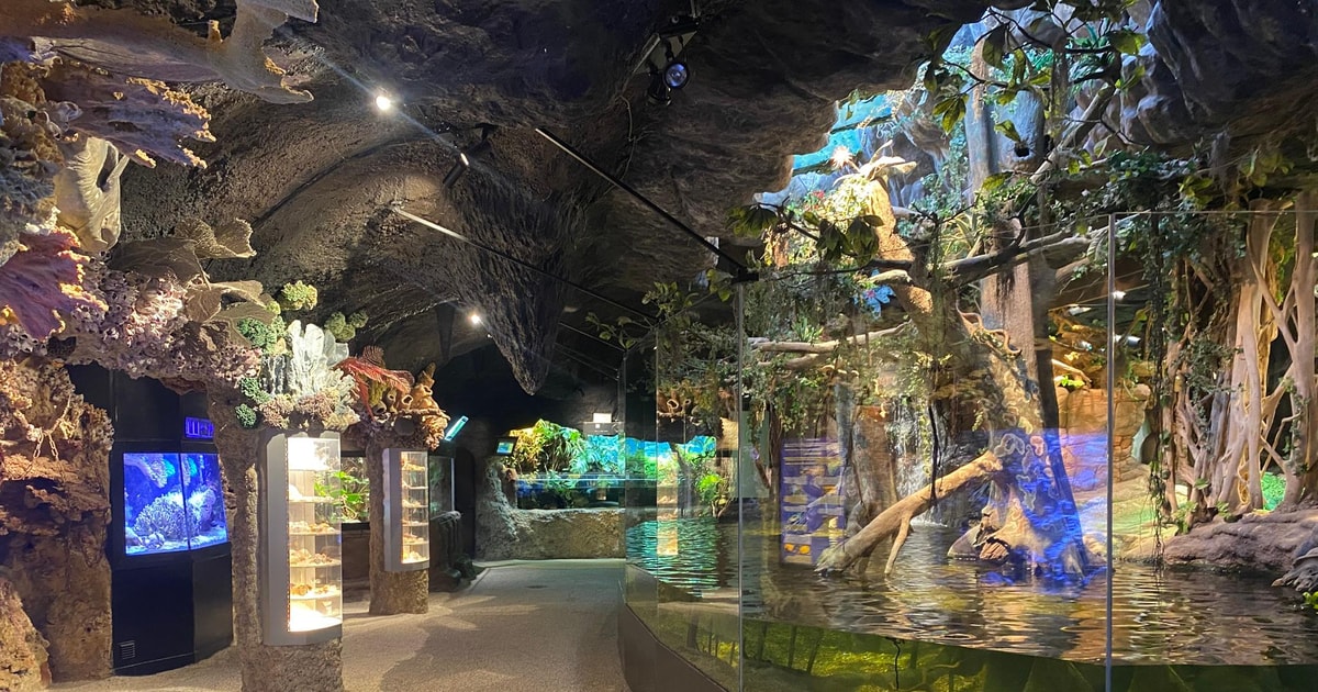 Stockholm: The Skansen Aquarium Entry Ticket GetYourGuide