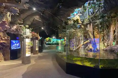 Sztokholm: Bilet wstępu do Akwarium Skansen