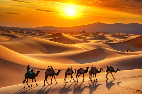 From Djerba: Magical Desert Night by 4x4 with Sunset & Sunrise From Djerba: Magical night in the desert by 4x4 with sunset and sunrise