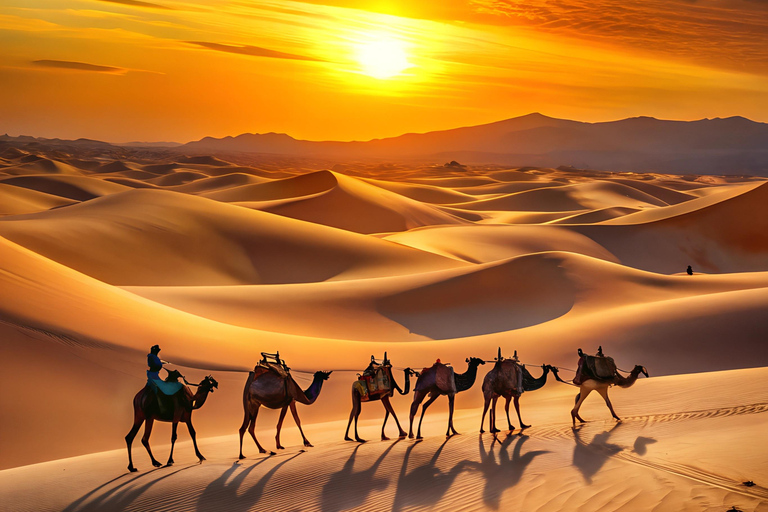 From Djerba: Magical Desert Night by 4x4 with Sunset & Sunrise From Djerba: Magical night in the desert by 4x4 with sunset and sunrise