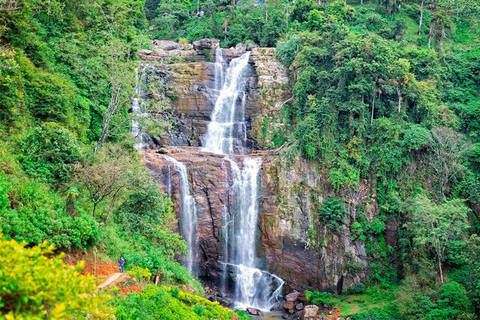 Nuwara Eliya to Kandy: Transfer with Waterfall & Tea Tour