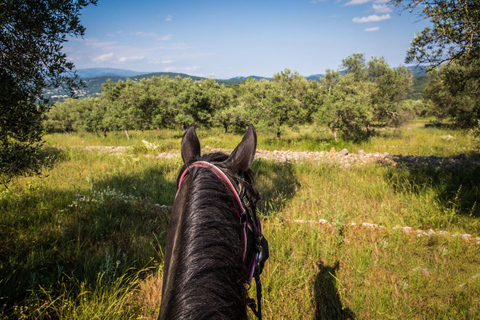 French Riviera: Horseback ride with views of Lake St. Cassien and the Massif de l'Esterel mountains French Riviera: Horseback Riding Tour with Views of Lake Saint-Cassien and the Massif de l'Esterel