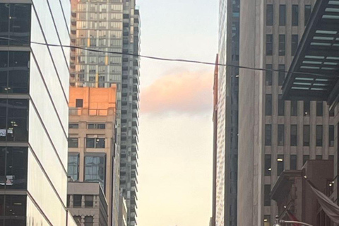 Toronto: City Sightseeing rondleiding met gids per bus in de avond