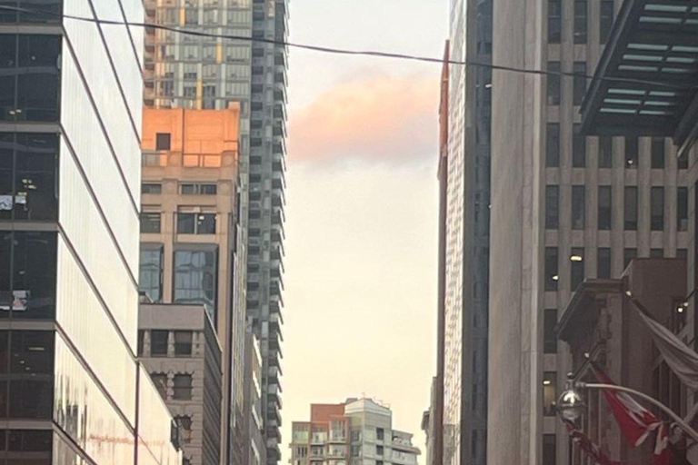 Toronto: City Sightseeing rondleiding met gids per bus in de avond