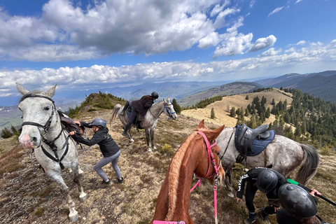 Muscel: The Hidden Trails: Full-Day Horseback Exploration