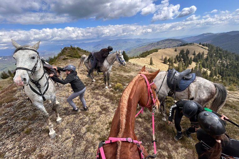 Muscel: The Hidden Trails: Full-Day Horseback Exploration
