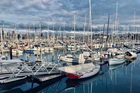 Auckland halfdaagse tour door stedelijke wonderen