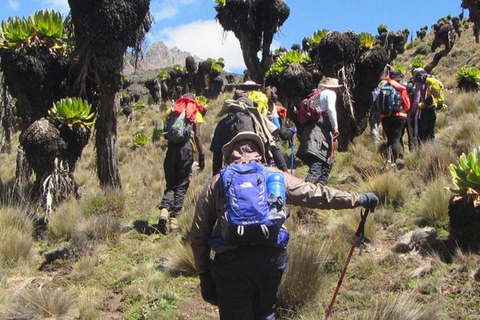 4-Day Mount Kenya Sirimon-Chogoria Trek