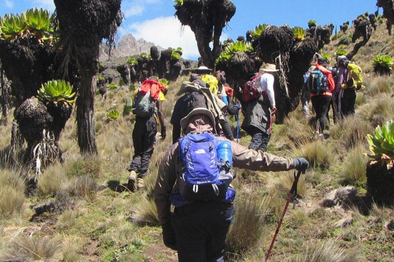 4-Day Mount Kenya Sirimon-Chogoria Trek