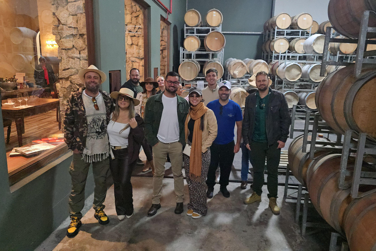 Cape Town: Cruise Passengers sunset Safari & Wine Tour