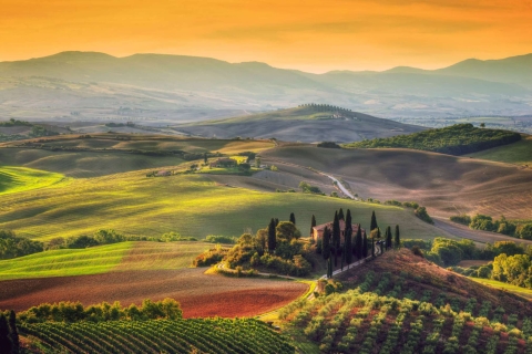 Lo mejor de la Toscana y el Vino en Coche Privado desde Florencia