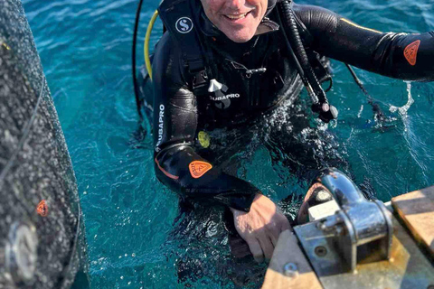 First Scuba Diving Experience in Calvi (From 8 yo) Calvi: Discover Scuba Diving