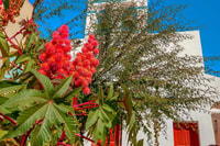 Santorini, traditionele sightseeing bus tour met OIA Sunset - Housity