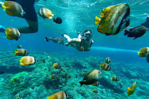Nusa Penida: 3-Spot Snorkeling at SD, Gamat & Wall Nusa Penida hotel pickup