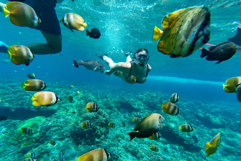 Nusa Penida: 3-Spot Snorkeling at SD, Gamat & Wall Nusa Penida hotel pickup