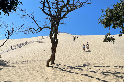 From Bordeaux Half-Day in Saint-Emilion or Arcachon in a Private Van Saint-Emilion Tour